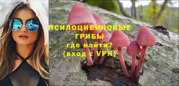 MESCALINE Горняк