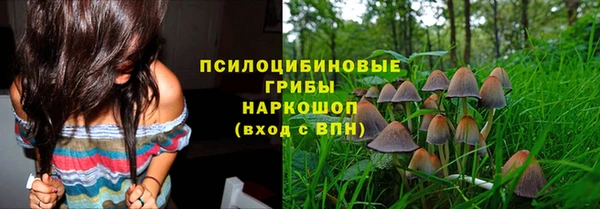 MESCALINE Горняк