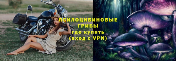 ALPHA PVP Гусь-Хрустальный