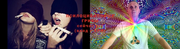 мяу мяу мука Горнозаводск