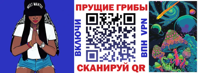 Псилоцибиновые грибы Psilocybe  Нефтекамск 